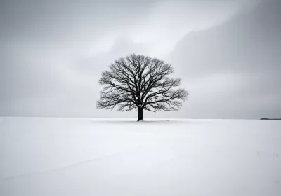 Imagen PNG para descargar